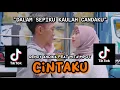 Download Lagu DALAM SEPIKU KAULAH CANDAKU | CINTAKU - Rendy Andika FEAT Mita Mpot Lagu Viral TikTok 🔥