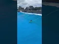 Weird wave But even Weirder Surfer