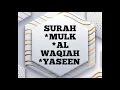 Download Lagu SURAH MULK, SURAH AL WAQIAH, SURAH YASEEN SHEIKH SHURAIM