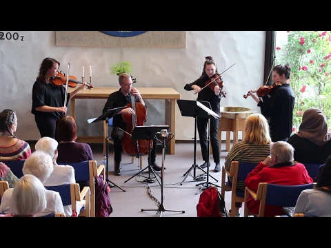 Stockholm Jazz Strings, bild 4