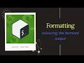 How to add colors to the command line in the terminal echo command escape sequences