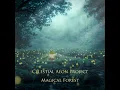 The Book of Ages - Celestial Aeon Project