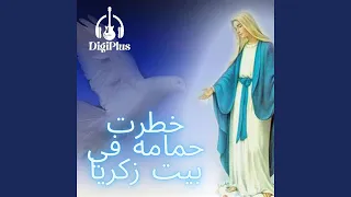 خطرت حمامه في بيت زكريا دندنها