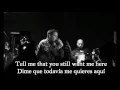 Basement - Whole (Subtitulado Español - Inglés)
