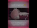 Download Lagu Is Sakura dead? (Sasuke Retsuden) | #sakura #sasuke #retsuden #fyp
