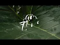6Cyclemind - Prinsesa (Lyrics)