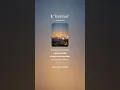 💎 “Tra le Luci”