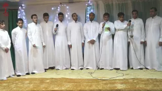 مولد الإمام الحسن زكي ع فرقة السبط الزكي ع موكب بطلة كربلاء ع 1437هـ 