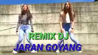 Download DJ remix . Goyang asik banget ( jaran goyang ) MP3