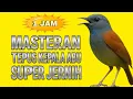 Download Lagu MASTERAN TEPUS KEPALA ABU SUPER JERNIH DURASI PANJANG || TEPUS KEPALA ABU GACOR JERNIH
