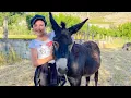 Download Lagu Epic ANJAR: Activities, Nature, Water, Agriculture, Food, History and Endless Stories!