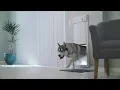 Automatic Pet Doors