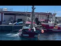The best photos of Puerto de Morgan