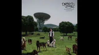 Depresión Sonora - Los Perros no Entienden Internet (…Y Yo no Entiendo de Sentimientos) (Full Album)