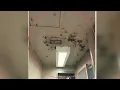 Lawsuit filed against Autauga County Commission over mold in the jail