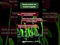 Download Lagu Samen maken we herstel mogelijk