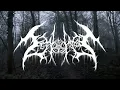 Download Lagu Zeta Reticuli - Until the Stars Align