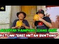 Download Lagu Babi Hutan Musuh Petani, Orang Ini Malah Peliharanya|| Si Buntung