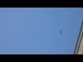 Helicopters Hovering over My House