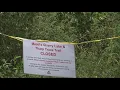 What could have caused the rock fall at Mead s Quarry Lake