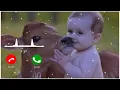 cuit baby voice sms ringtone 2021 🥰