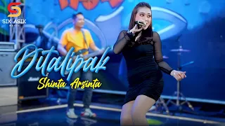 shinta arsinta ft om nirwana ditalipak official live music video sik asik 