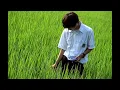 boards of canada - amo bishop roden - slowed and reverb