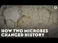 How Two Microbes Changed History