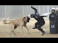 Kangal is too Dangerous to be in Police