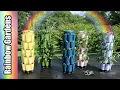 My New Rainbow Garden