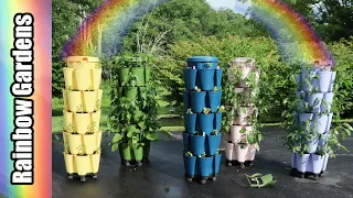 My New Rainbow Garden