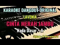 Download Lagu CINTA MERAH JAMBU [ LAVENIA ] Karaoke Dangdut Original || Nada Dasar = A