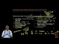 Preprocessing