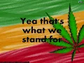 Rebelution - Green To black with lyrics on the screen