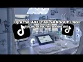 Lagu DJ AKU TAK SANGGUP LAGI VIRAL TIK TOK