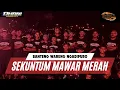 Download Lagu Dj bantengan ‼️sekuntum mawar merah (banteng wareng ngadipuro) remixer by @DhaniSquarepants