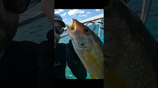 OUT ISLANDS living on a Sailboat #shorts #sailing #travel