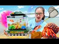 Lagu Changcady chế tạo bể cá hình xe tăng, trang trí bể cá từ vỏ sò, san hô