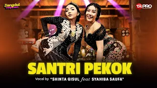 santri pekok shinta gisul ft syahiba saufa dangdut koplo version 