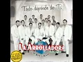 Ya No Te Buscaré - La Arrolladora Banda El Limón De René Camacho