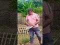 Lagu KASIH PAKAN IKAN DI KOLAM IKAN BUMDES PERDANA KALANGSARI#bumdesperdana #kolamikan #kalangsari