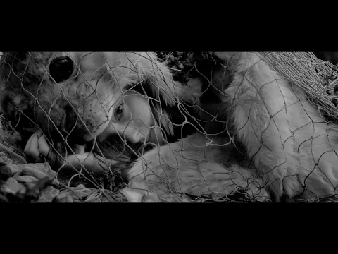 Bedlamer (2024) - Teaser Trailer