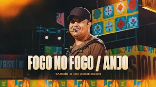 fogo no fogo anjo tarc sio do acordeon tarcisiologia 