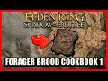 Forager Brood Cookbook 1 Location - Elden Ring Shadow of the Erdtree
