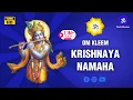 Lord Krishna Mantra Om Kleem Krishnaya Namaha 1008 times Krishna Mantra Chanting