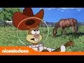 Download Lagu Bob Esponja | Canción de Tejas | Nickelodeon en Español