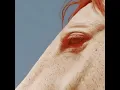 dame's interlude