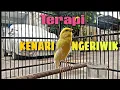 Download Lagu Kenari Ngeriwik Langsung Ikut Nyaut Dengar Suara Ini