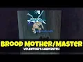The Brood Mother Camp - Enchanter Solo Cash Spot