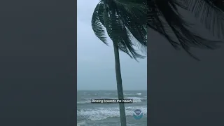 Winds at the coast